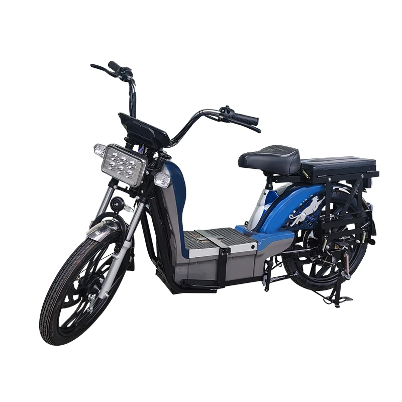 Factory,22 Inch Delivery Electric Bike,800W Cargo Electric Motorcycle,Rider E-bike,60V Lithium Battery Electric Bicycle,OEM