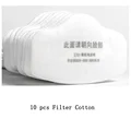 10 pc Filter Cotton