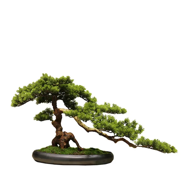 pine bottle view Chinese Zen style model room entrance tea indoor flower stand decoration potted plants