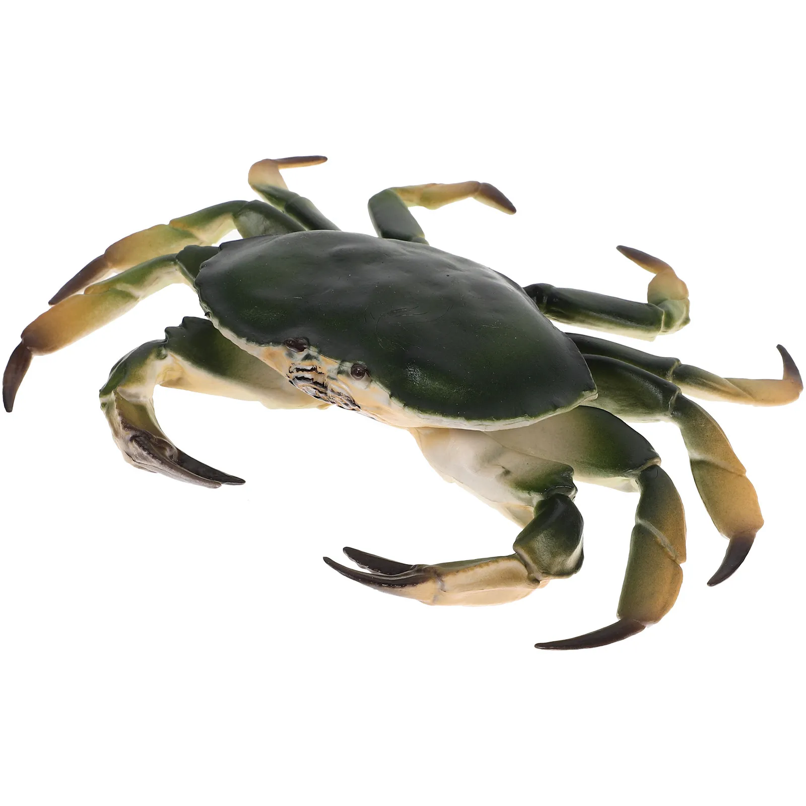 Realistic Simulation Crab Artificial Plastic Animal Decoration Educational Simulation Recognition Sculpture Desktop Decor