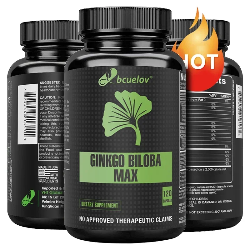 Ginkgo Biloba Extract Supplement – Memory, Mood Improvement, Concentration Support 30 to 120 Capsules