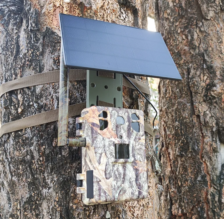 กล้องติดตามสัตว์ป่า 4G LTE Dee - Cellular Trail Camera Live Stream บทวิจารณ์และราคา
