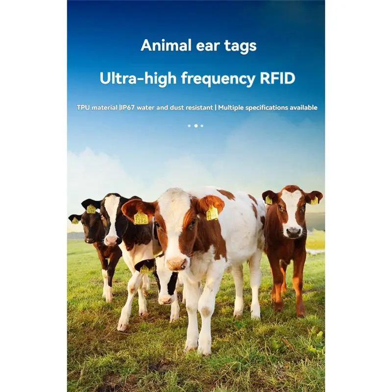 Electronic UHF RFID Animal Ear Tag 100Pcs 860-960Mhz RFID Ear Tag For Pig Sheep Goat Cattle Tracking A
