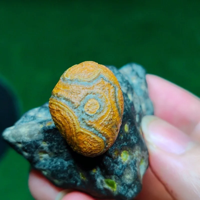 

Natural Gobi Desert Rock Mineral Specimen