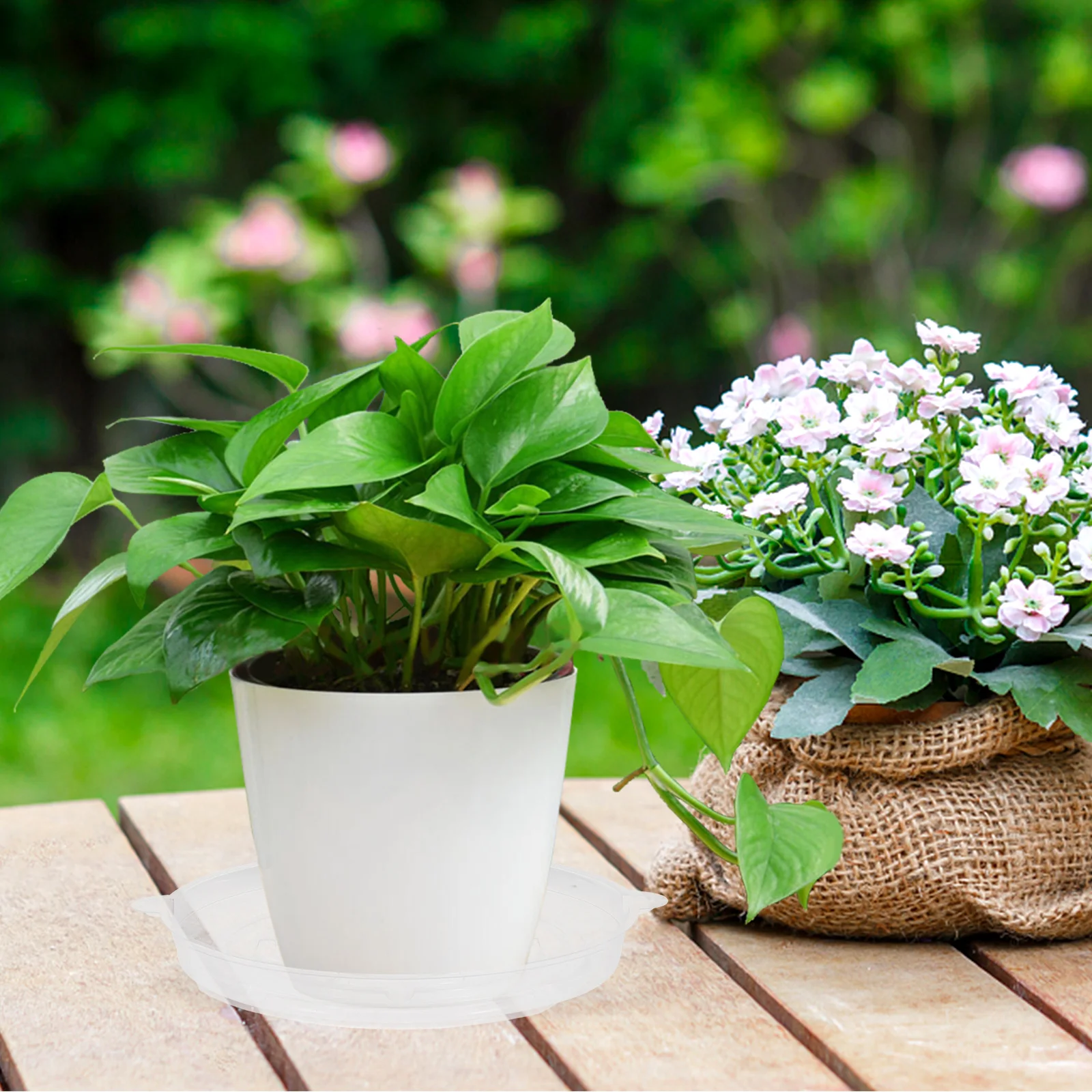 

10Pcs PVC Base Plant Pot Trays Plant Trays For Pots Transparent 6Inch 22g Excess Water Drainage Flower Pot Stand Saucer