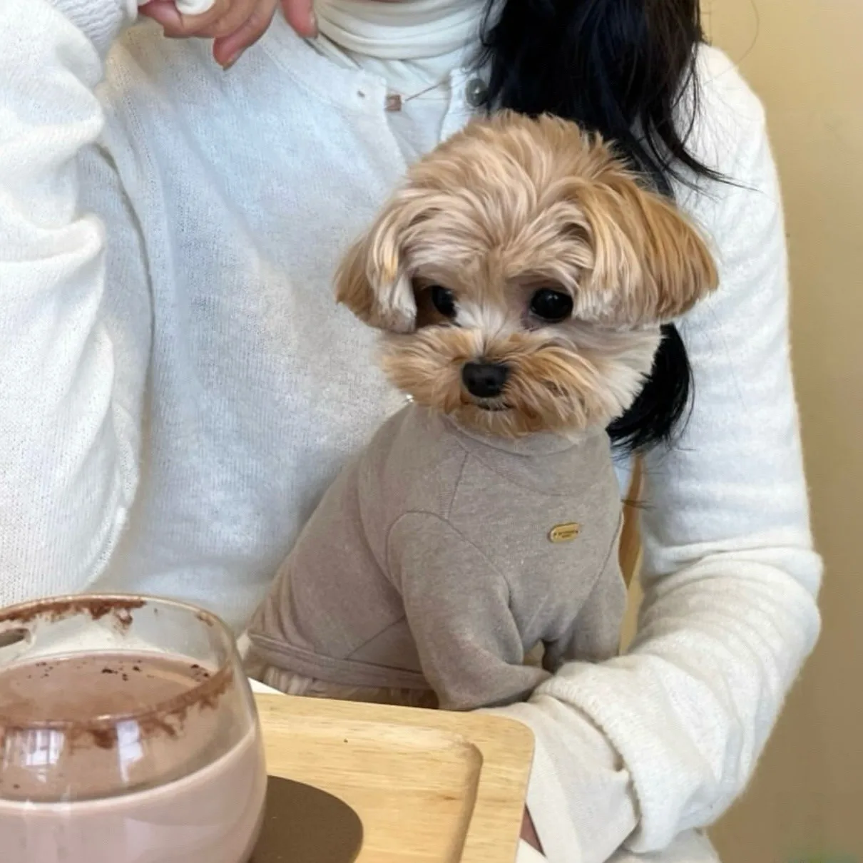 Pet Coffee Bottoming Shirt, Winter Warm Clothes for Small Dogs, Solid Color Cat Vest, Soft Two-Legged Sweater for Bichon Frise