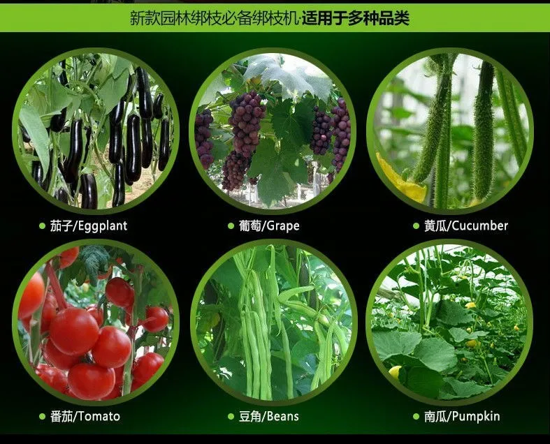 ZC1-Garden Strapping Machine คู่มือโรงงานเครื่องกระชับสาขา Garden Art เครื่องมือ