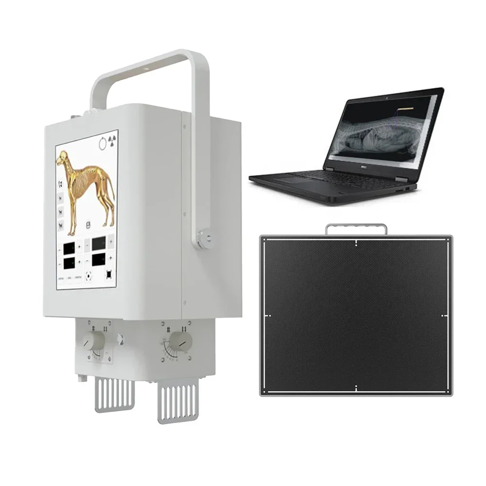 Factory Price Flat Detector High Frequency 5.6 KW Digital X Ray Machine