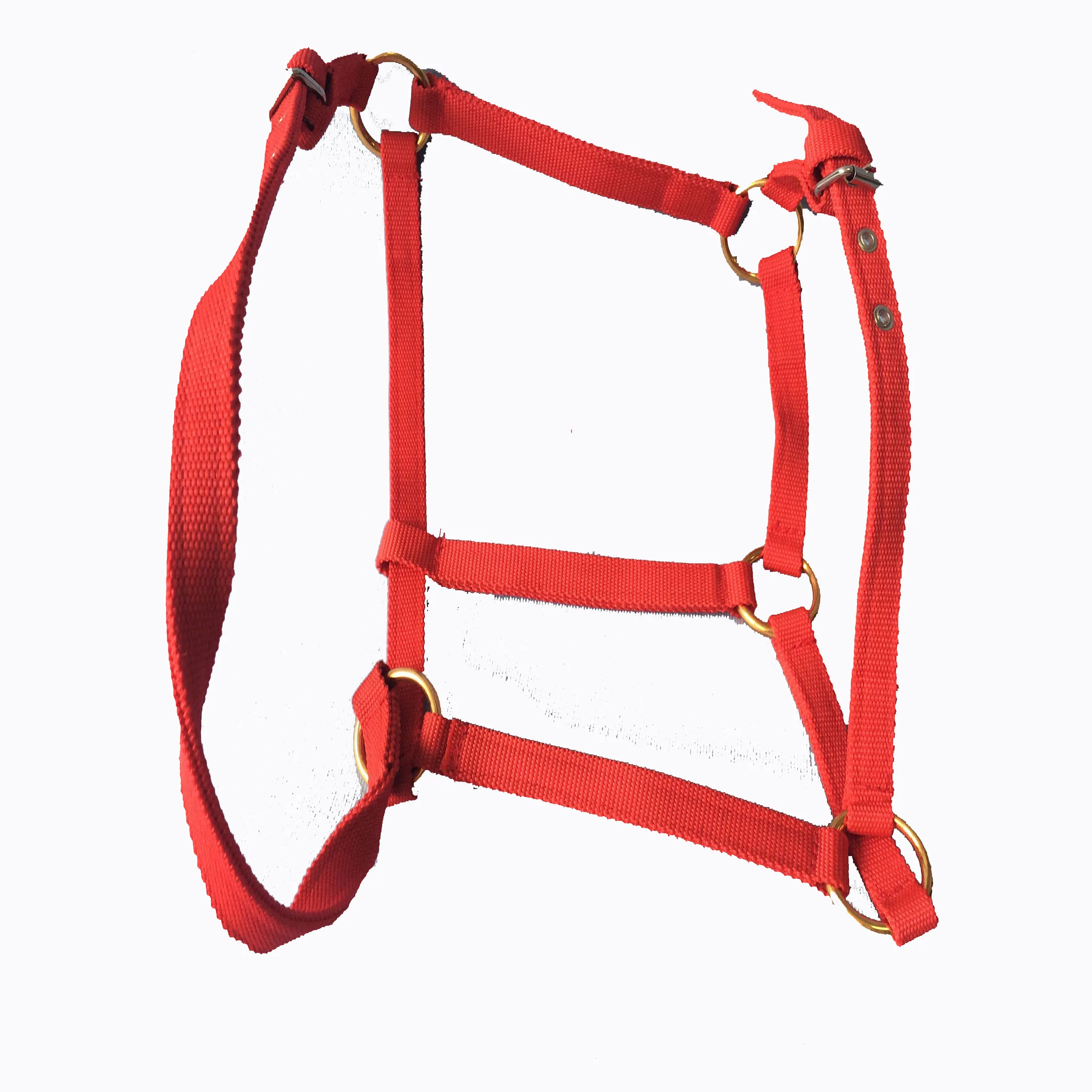 Nylon horse bridle with horse halter