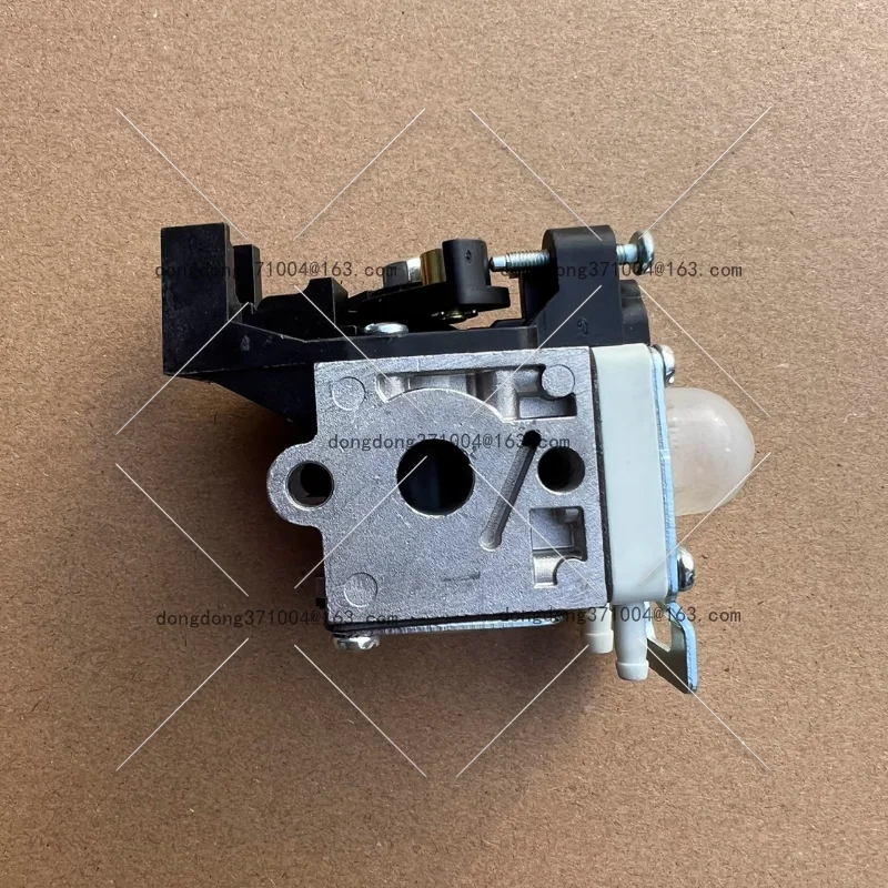 Adapted To Echo Sin… - image