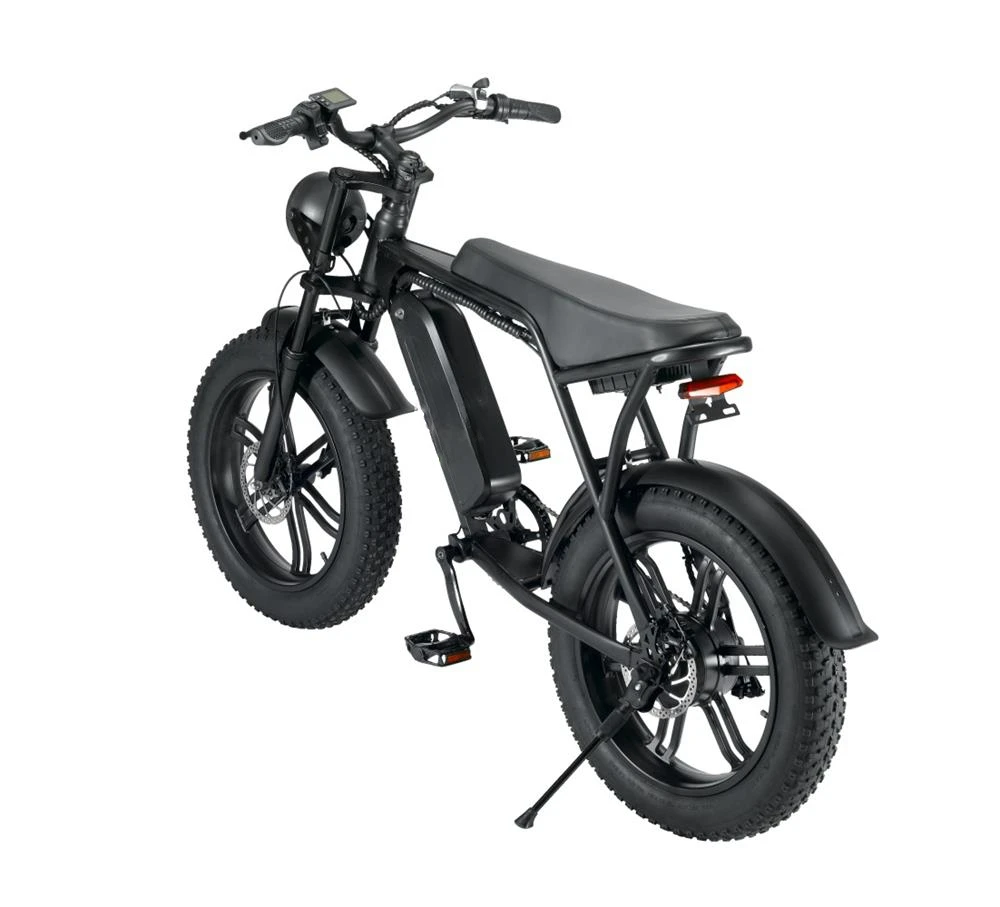 

EU Stock eBike bicicleta electrica e bikes electric bicycle 750 W 1000W Electric City Bike Mountain Bike bicycle