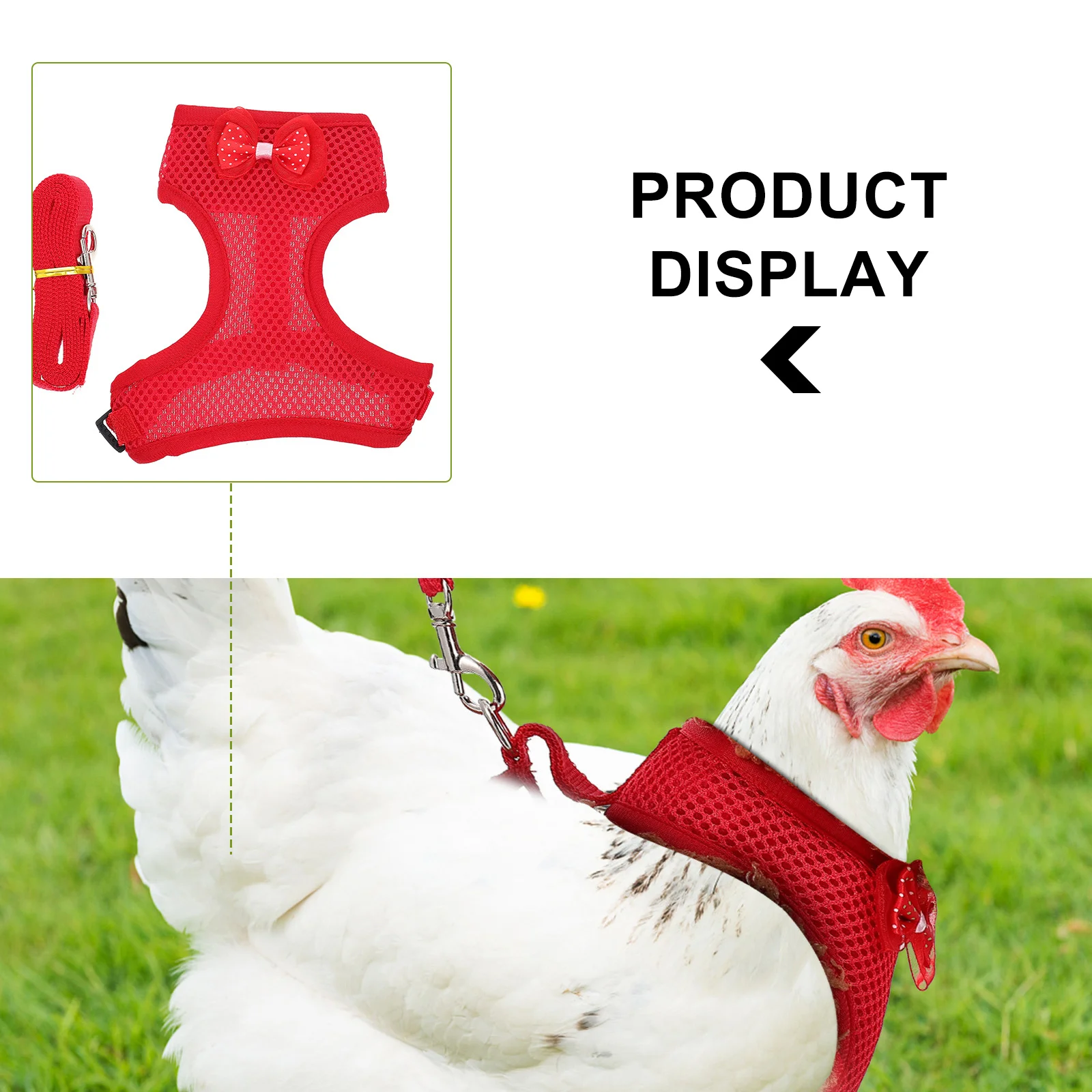 

1Set Chicken Leash Chain with Harness Safety Traction Rope for Pet Hen Walking Running Outdoor Activity Rooster Pulling Rope