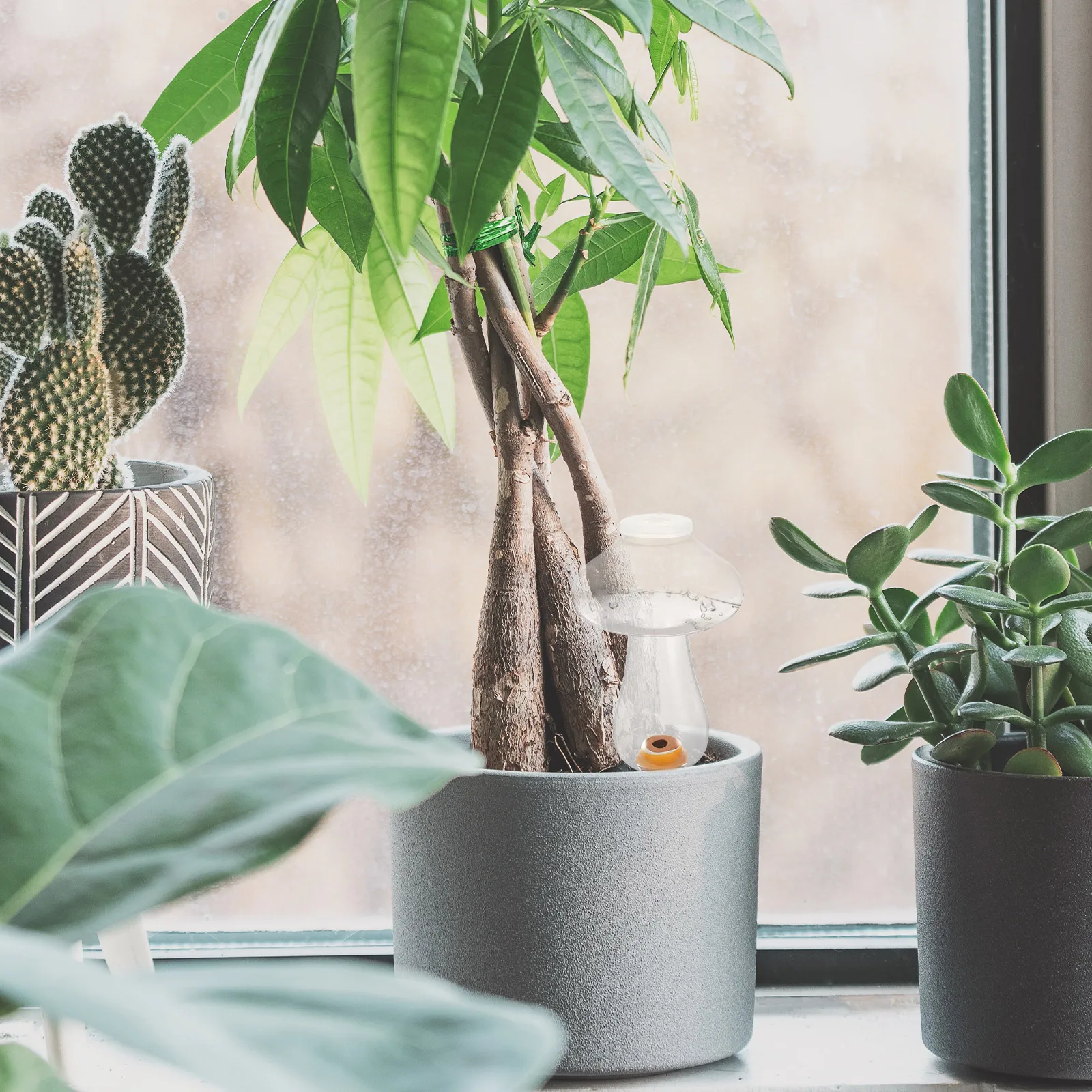 

Automatic Mushroom Plastic Self- Bulb for Plants Irrigation System Drip Tool Gardening