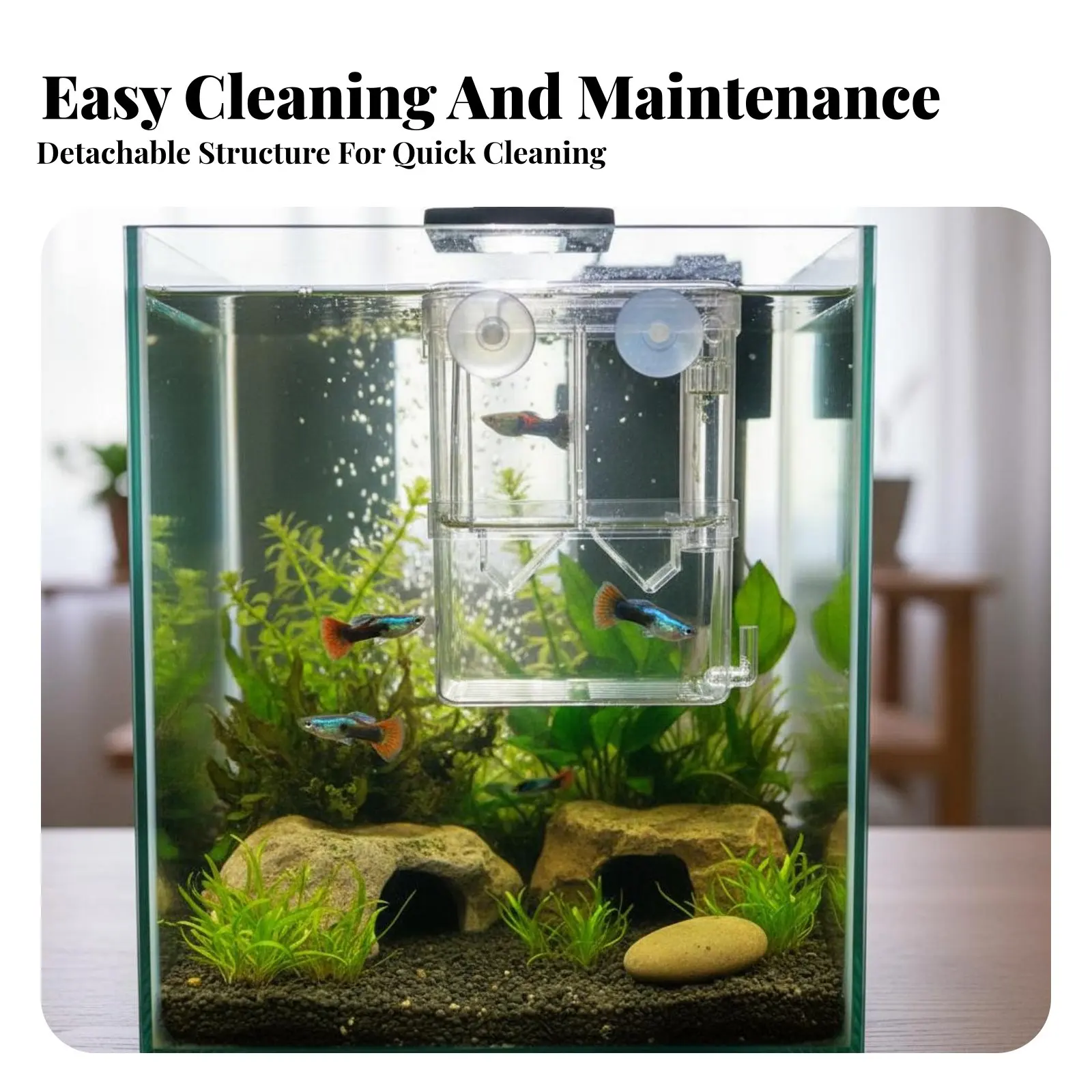 Picture 3: Aquatic Fry Separation Box Thickened and Sturdy Aquatic Breeding Box Buoyant Fry Hatchery Multifunctional Guppy Breeding