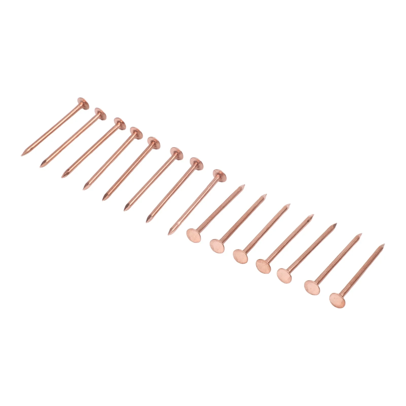 Copper Nails 2 inch for Tree Stump For Killing and Root Removal Spikes Providing Effective and User Friendly Application