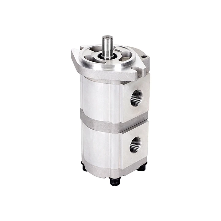 

Zhengquan HGP-33A-F6/6R Double Gear Pump Hydraulic High Pressure Oil Pump Is Used for Power Plant and Small Hydraulic System