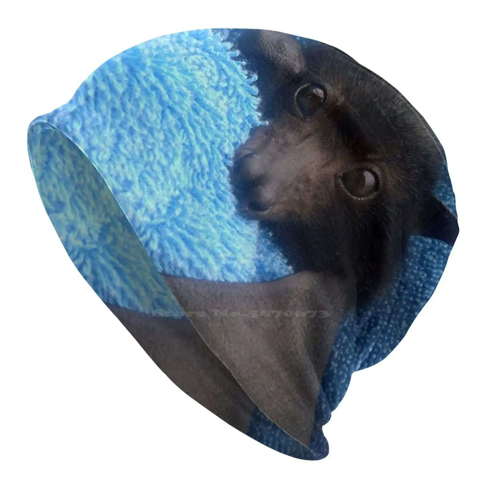 Baby Bat Cruz In Blue. Knitted Hat Warm Beanie Outdoor Caps Baby Bats And Buddies Of Australia Flying Fox Bat Cute Baby Animals