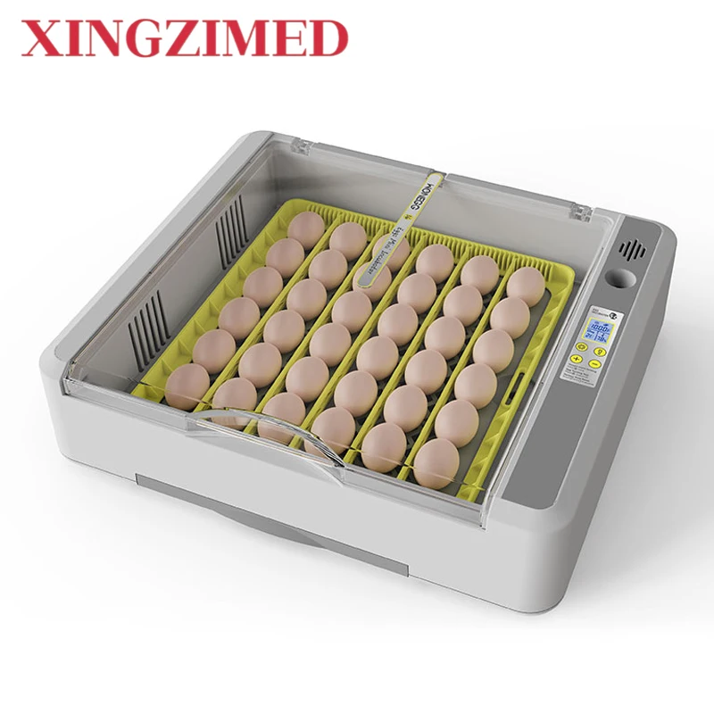 Wonegg Full Automat…