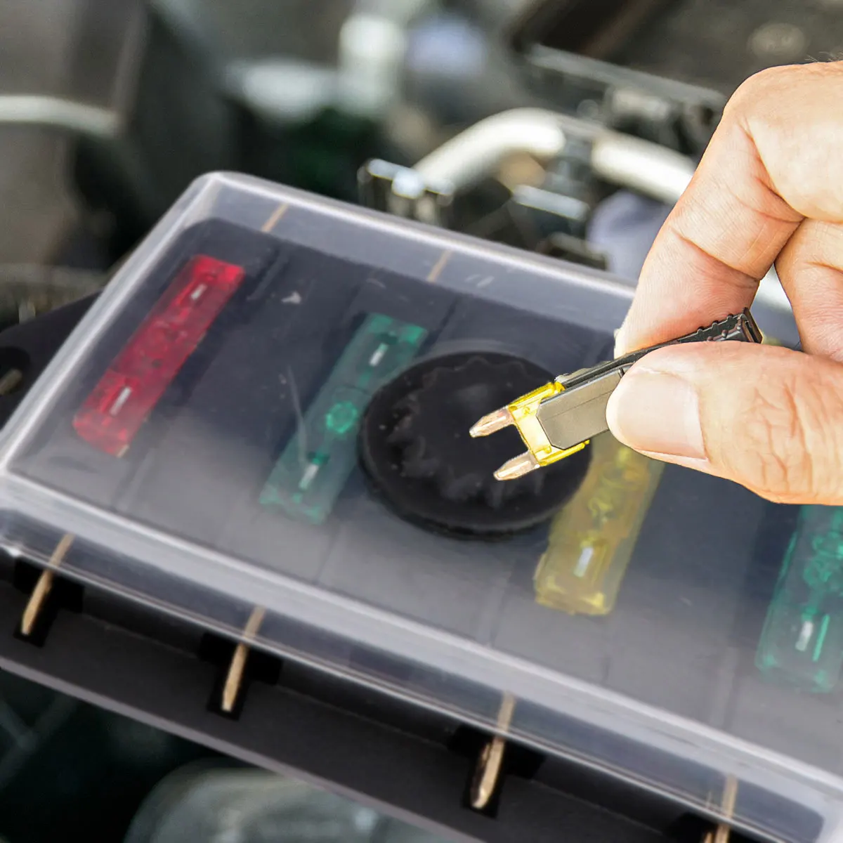 

Fuse Box Holder with 10A 20A 30A 30A Fuses Clear Numbered Fuse Block for Automotive Marine Car Van Outdoor Use