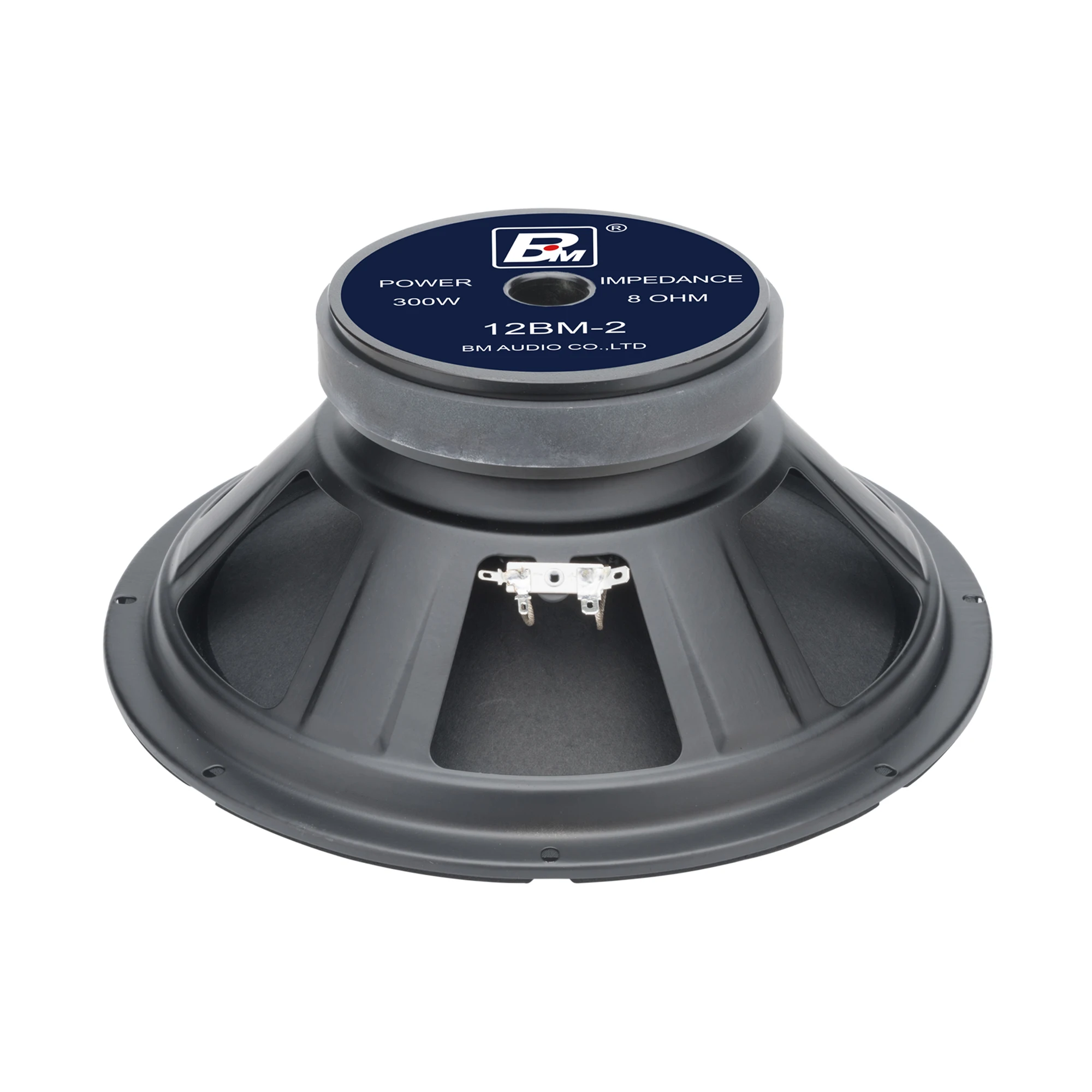 12BM-2 12-Inch Subwoofer 156mm Magnet & 2.5-Inch Voice Coil Concert Stage Speakers Single Spider 8 Ohm Impedance