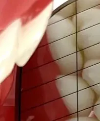 

Dental Mouth Mirror Anti-Fog with Handle Long Shape Rhodium Mirrors Reflectors High Quality Dental Tools