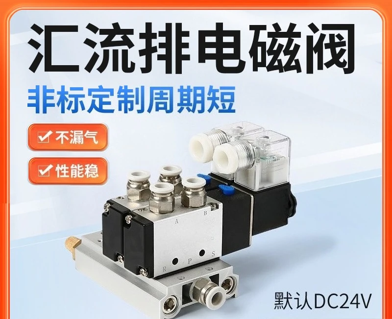 Two valve group reversing valve 24V