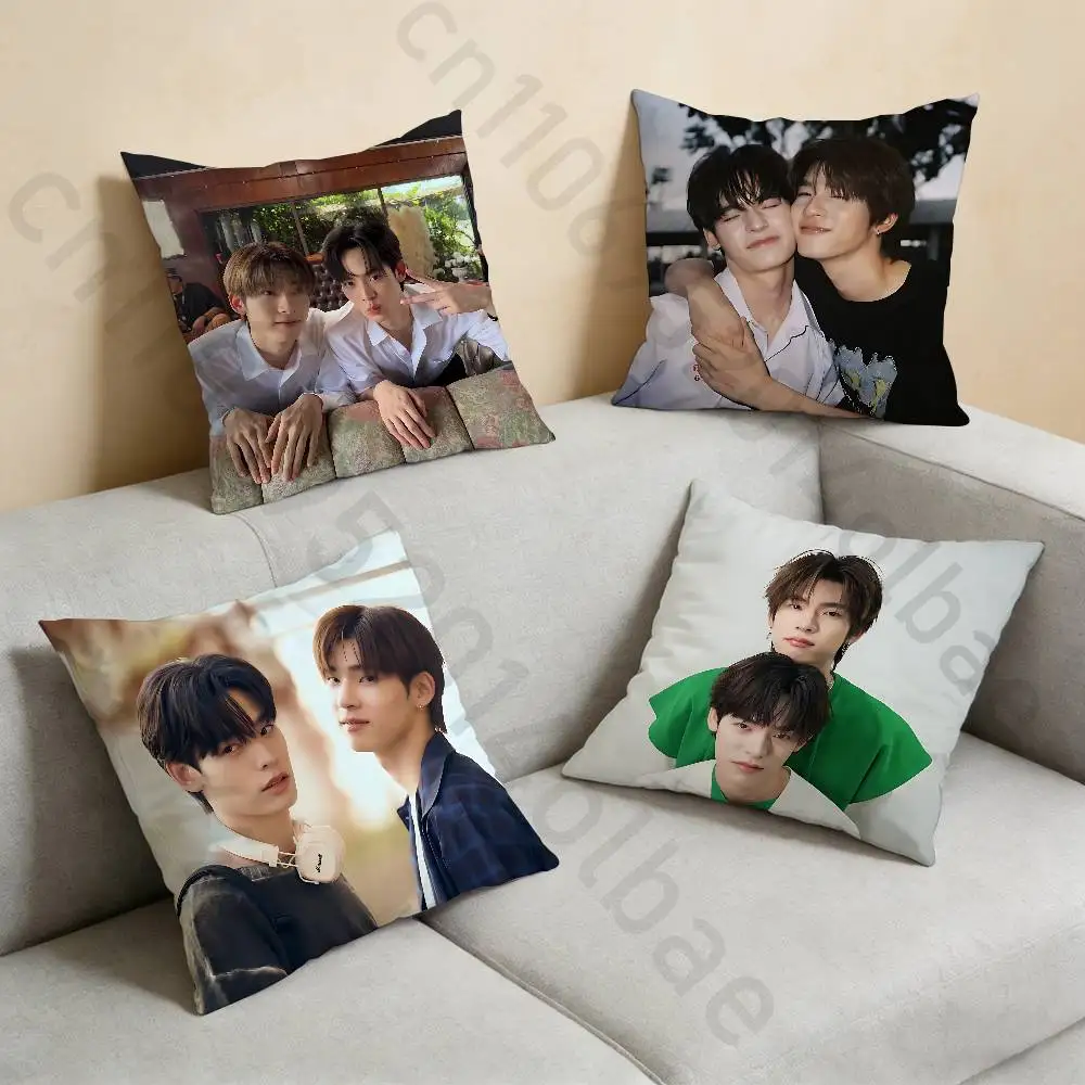 D-Duang TV Series with You Pillow Case Pillow Case Living Room Sofa Cushion Cover Suitable For Home Bedroom Room Decoration