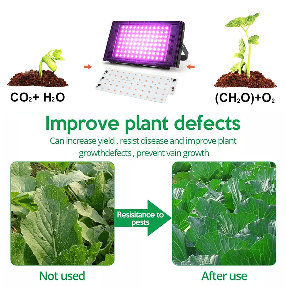 Imagem -02 - Led Grow Light Phyto Lamp Smart ic Floodlight Smd 2835 Longo Tempo de Serviço Faça Você Mesmo Lâmpada Led sem Necessidade de Unidade 220v 50w 10 Pcs