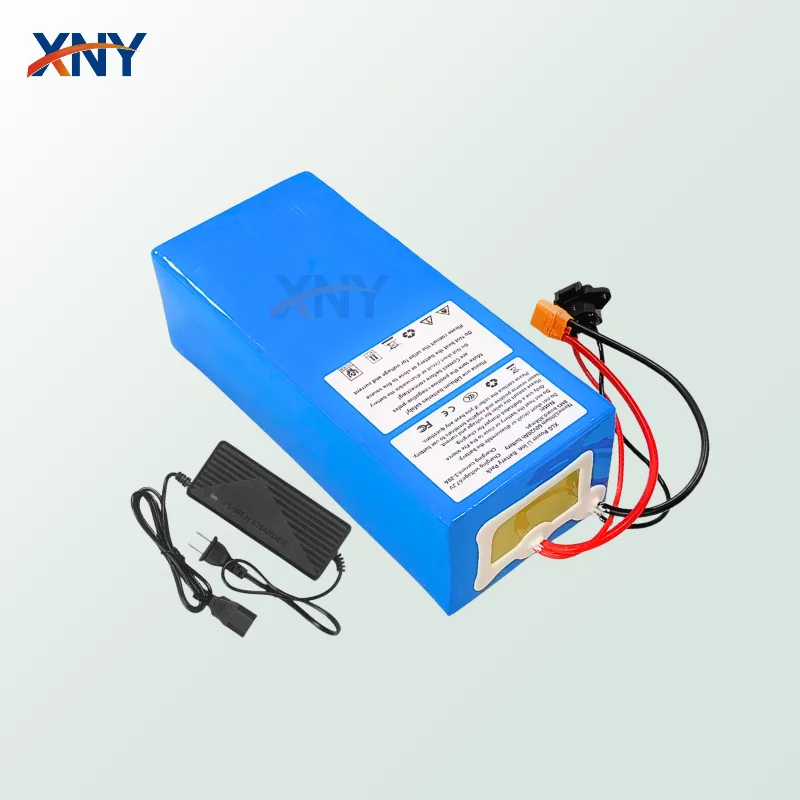 48V 80AH 60V Lithium Battery BagTools with BMS 13S 16S for 5000W 8000W Scooter Bike Tricycle Go Cart Motor With Charger