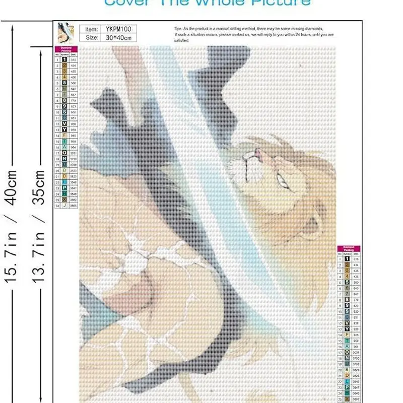 1 szt. Zestaw do samodzielnego wykonania obrazu diamentowego 5D, styl anime, Mocny Wojownik Lew, kryształowe kamienie szlachetne, szczegółowa grafika dla dorosłych i nastolatków.