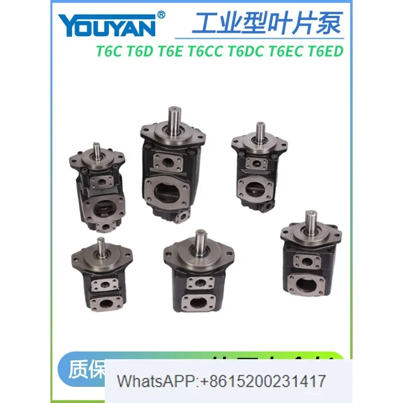 T6C vane pump T6D T6E T6CC T6DC T6EC T6ED-003 005 06 008 010 012 (1PCS)