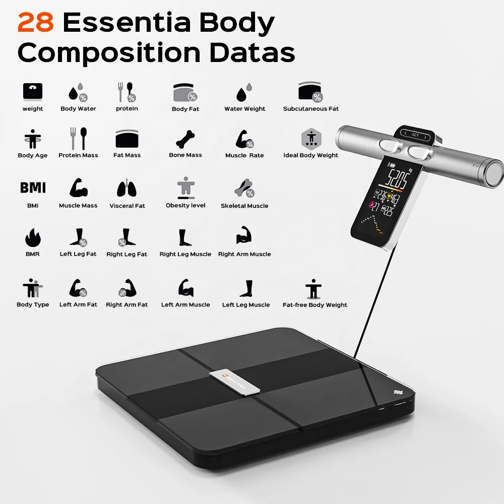 Colorful VA Screen Digital Smart Scale Full Body Composition Data Heart Rate & Body Fat Reading with Body Analysis App