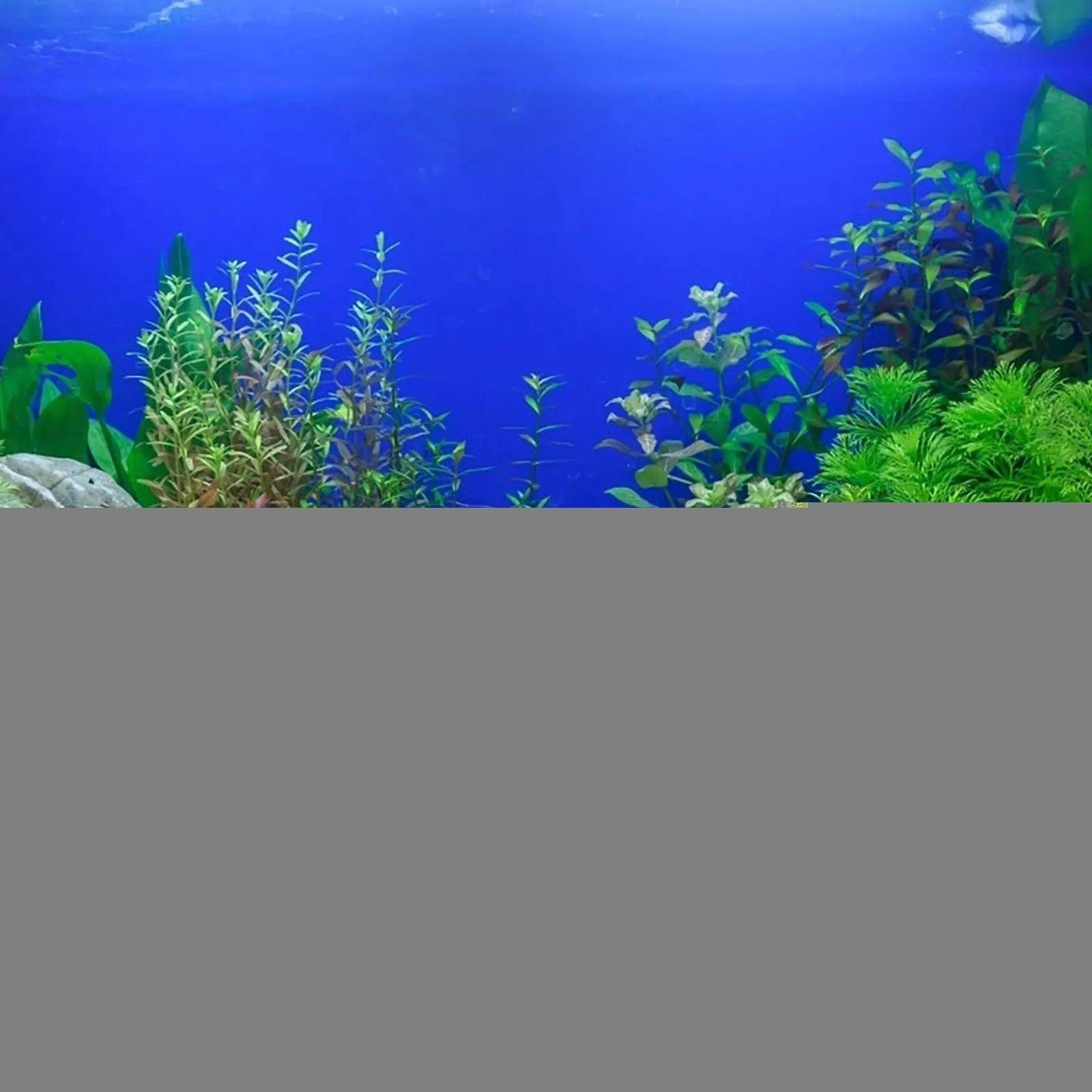 

3pcs Fish Tank Driftwood Submerged Wood Decorations 15cm 25cm Aquarium Reptile Log Pond Landscaping Accessories Natural Branches