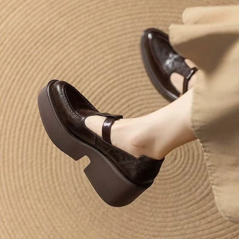 Chunky Platform High Heels Pumps Women Spring PU Leather Ankle Buckle Mary Jane Shoes Woman Brown Thick Heeled Sandals Loafers
