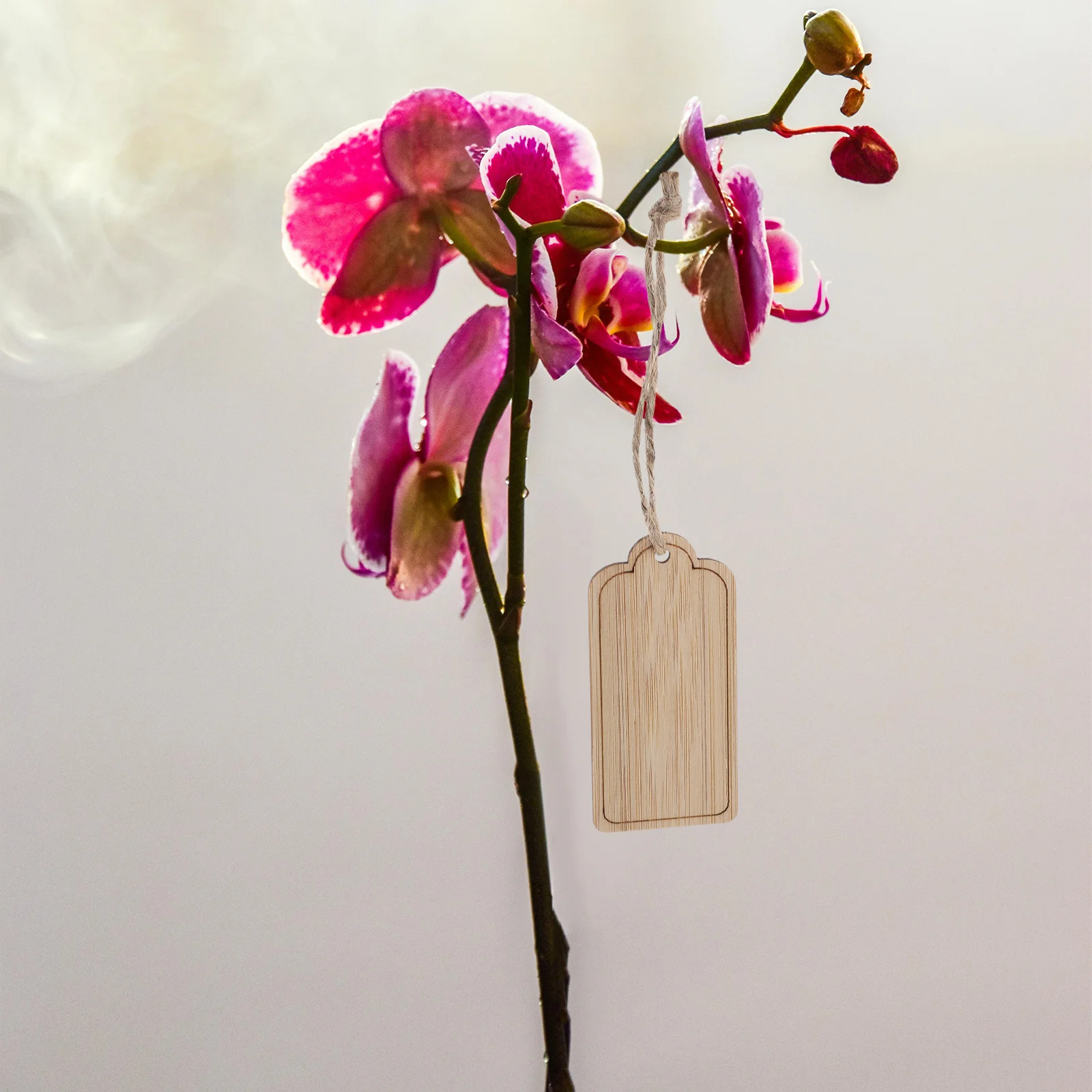 

10Pcs Hanging Wooden Plant Labels Rectangle Reusable Garden Markers for Potted Succulents Flowers Outdoor Plant Signs