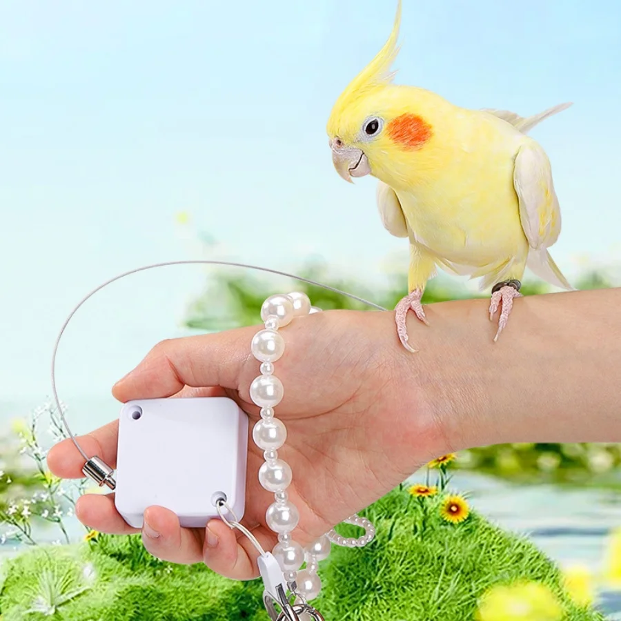 Ultra-Light Bird Be…