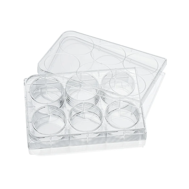 

LABSELECT 6-well Cell Culture Plate, Poly-D-Lysine surface treatment, 11130