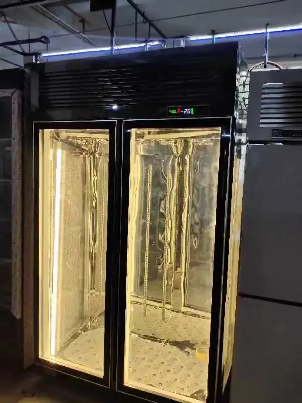 Refrigerador seco comercial de 2 puertas para filete seco de 1000 litros