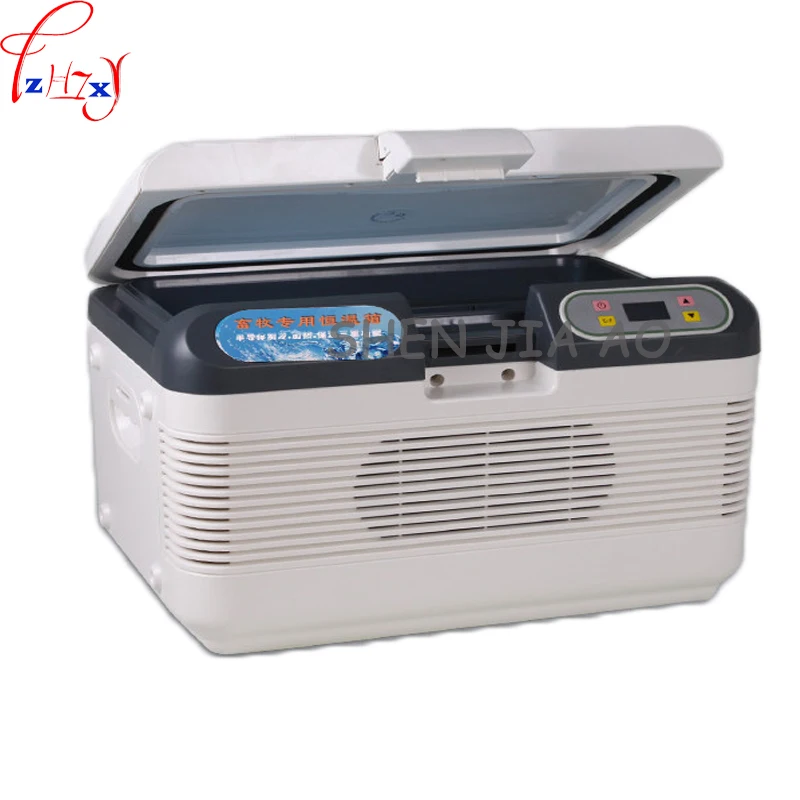 12L Per Uso Domestico Portatile frigo temperatura costante 17 gradi auto auto frigorifero frigorifero PER Picnic/di campeggio AC220V/DC12V