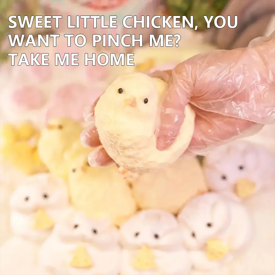 1pc Soft Fun Squeezable Handmade Chick Stress Relief Toys Ultra Soft Fidget Toy-Ideal Gifts for All Ages on Holidays image 4
