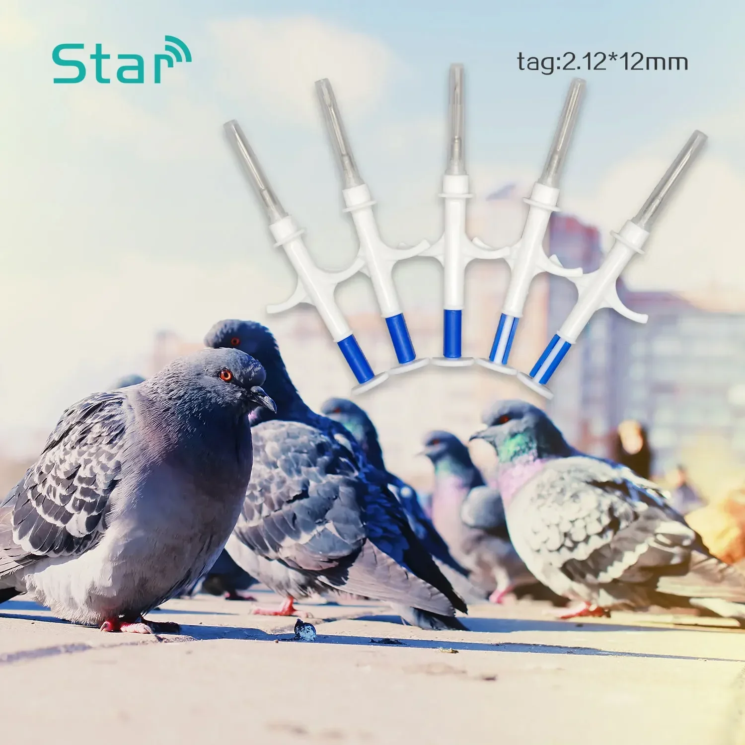 개 칩 반려동물 ID 마이크로칩 주입기, ICAR 번호 2.12x12mm 134.2KHz FDX-B 동물 주사기, ISO11784/5 유리 태그, 10 개