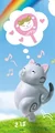 gray tabby