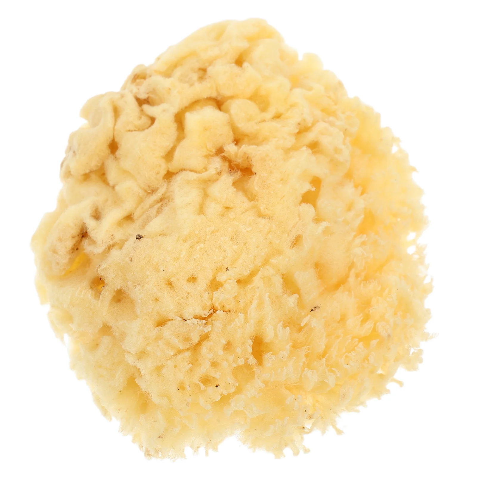 البحر الطبيعي 2.0-2.5 بوصة أداة الرسم لينة ماصة للألوان المائية الاكريليك Diy الملمس جدار الفن لوازم الحرفية