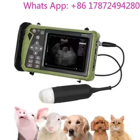 PET Portable Veterinary Machine Equipment for Animal Machine Animal Hospital