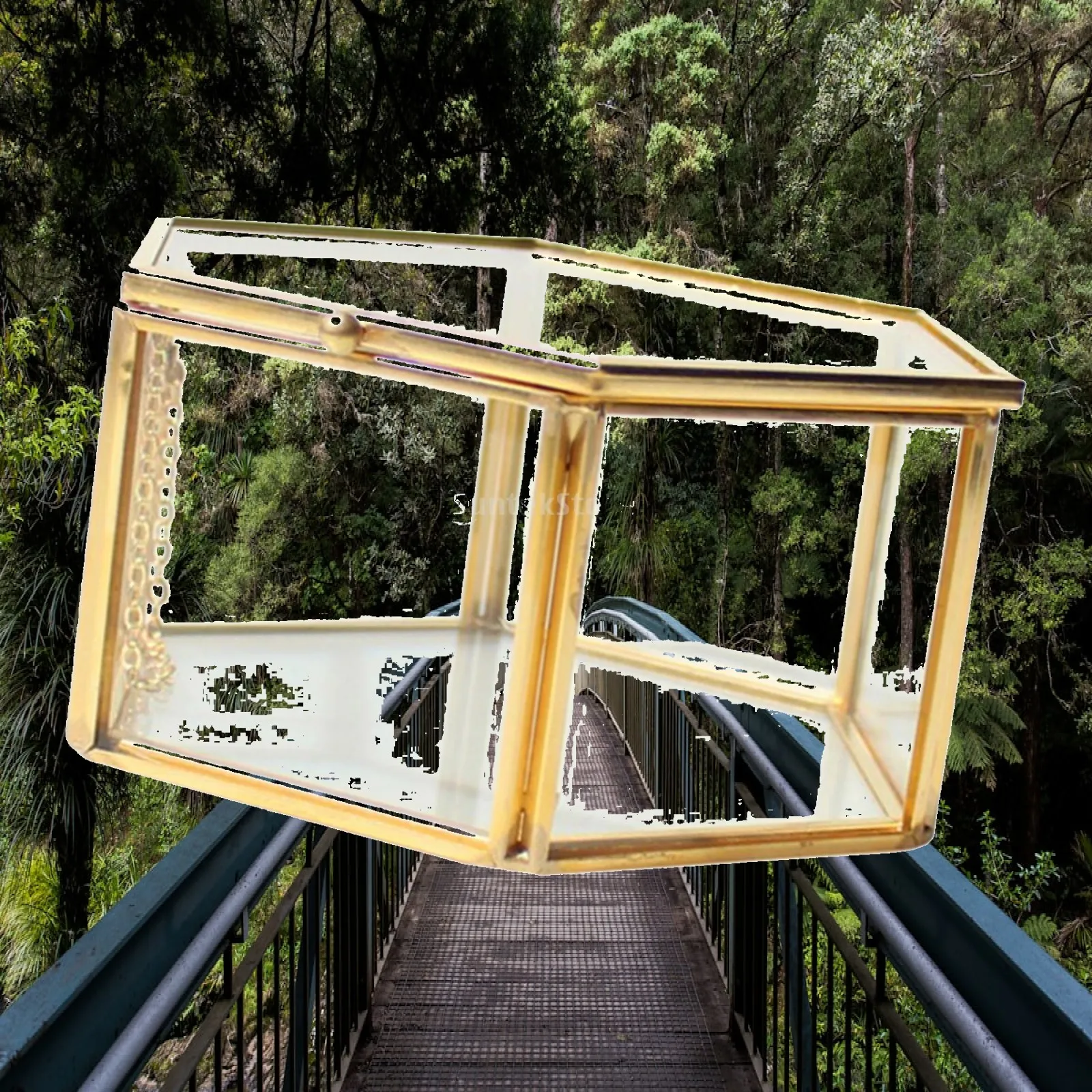 Modern Glass Terrarium Hexagon Shaped Succulent Planter Air Plant Container for Indoor Wedding Tabletop Decor