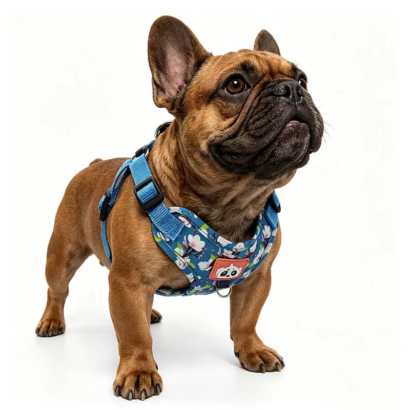 Peitoral para cão com flores, ajustável e respirável_voghion.com