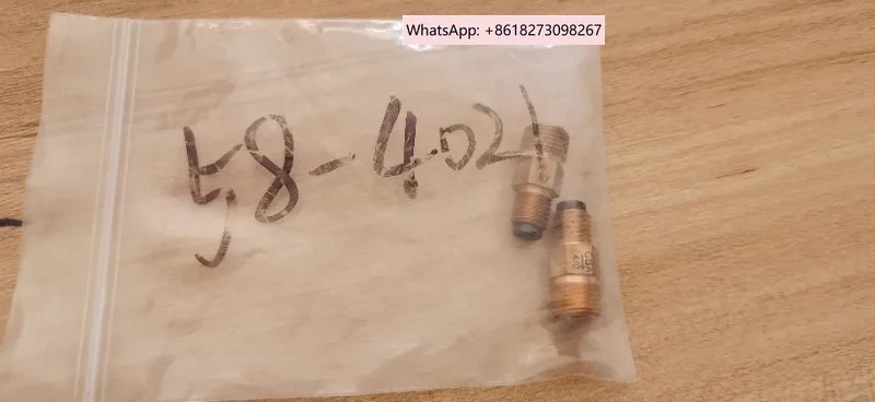 

Oil nozzle check valve 58-4021.1PCS