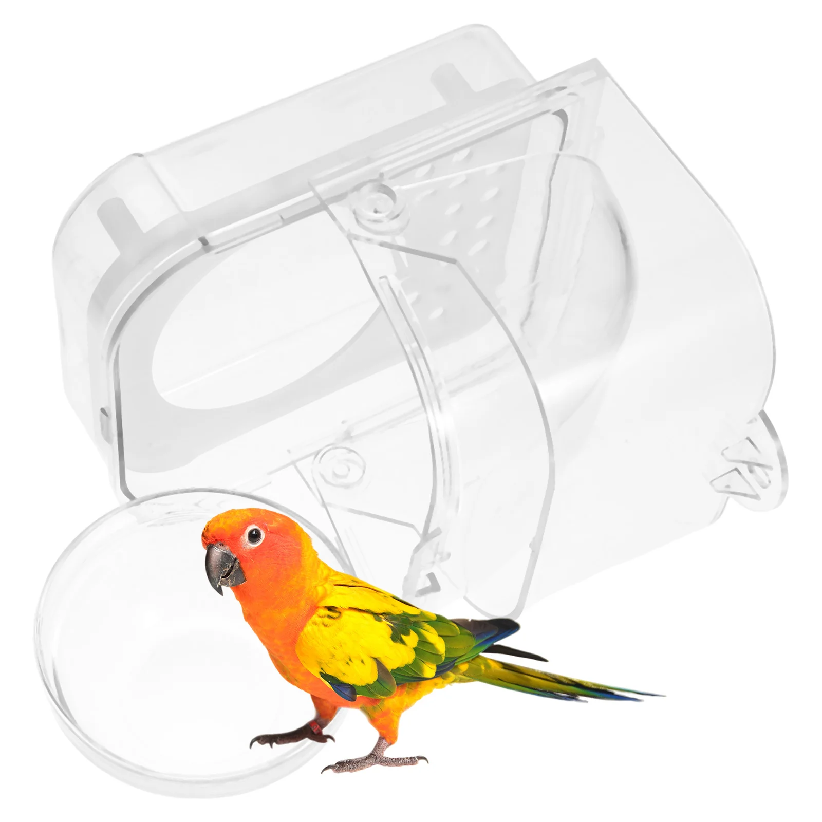 

Parrot Feeder Spill Proof Automatic Feeding Large Capacity Clear Bird Water Bowl for Parakeets and Small Birds