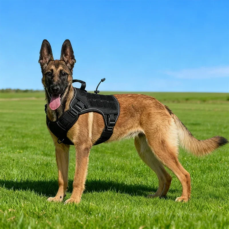 Thumbnail 2 - #57 Best Dog Harnesses to Buy In 2026