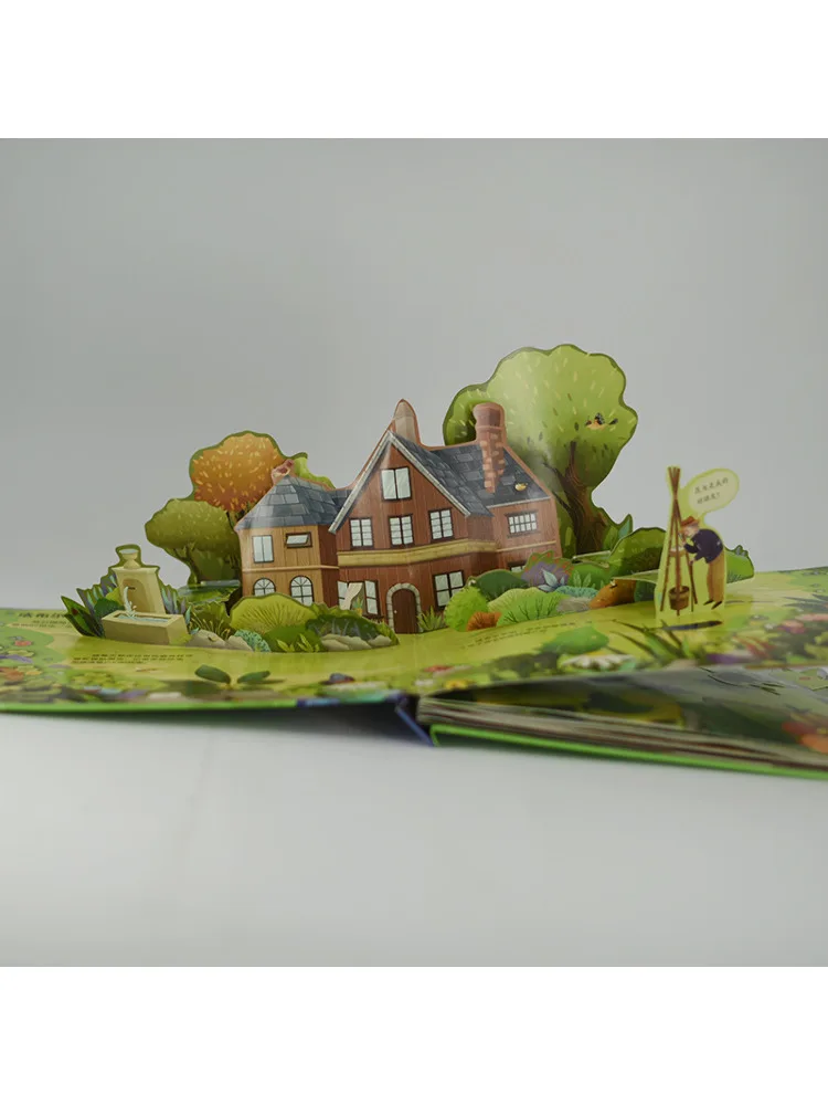 Book-Winshare Steam Exploration Fabre's Insects Interactive Pop Up Book Scarab